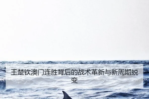wang-chu-qin-ao-men-lian-sheng-bei-hou-de-zhan-shu-ge-xin-yu-xin-zhou-qi-tui-bian-3-907.jpg