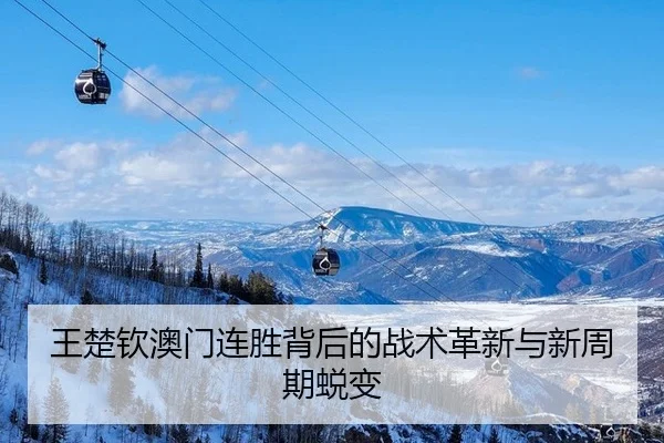 王楚钦澳门连胜背后的战术革新与新周期蜕变