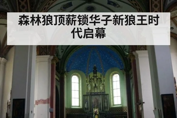 森林狼顶薪锁华子新狼王时代启幕