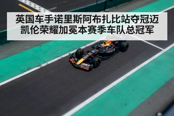 英国车手诺里斯阿布扎比站夺冠迈凯伦荣耀加冕本赛季车队总冠军