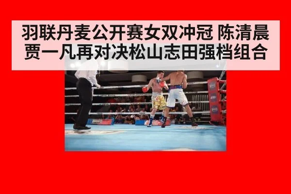 羽联丹麦公开赛女双冲冠 陈清晨贾一凡再对决松山志田强档组合